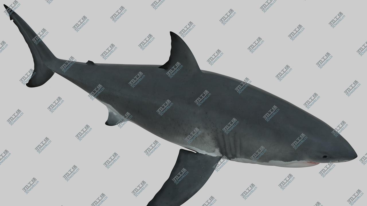 images/goods_img/2021040232/great white shark .OBJ/5.jpg